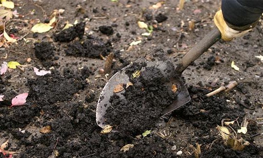 Soil Preparation and Amendment