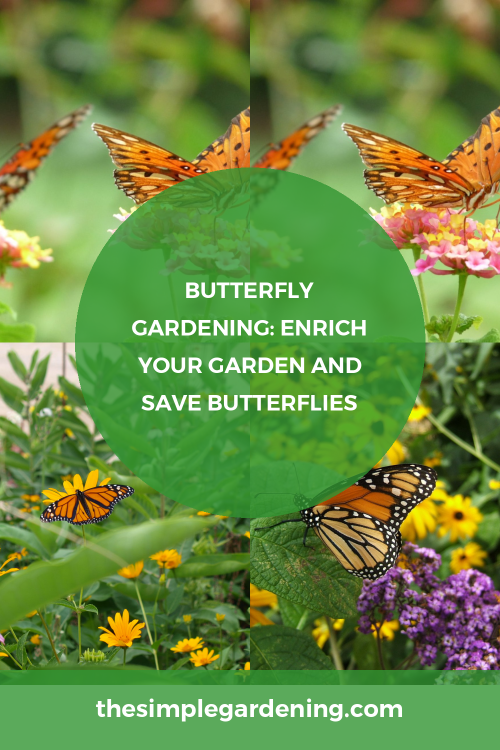 Butterfly Gardening: Enrich Your Garden and Save Butterflies