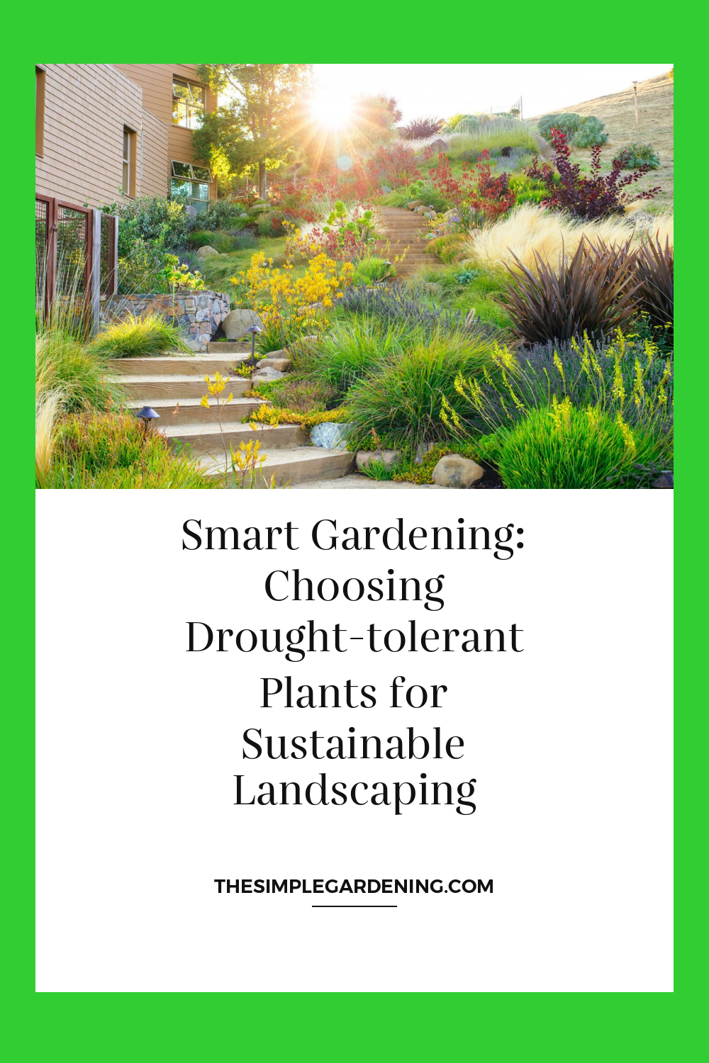 Smart Gardening: Choosing Drought-tolerant Plants for Sustainable Landscaping